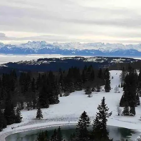 Superbe F3 Au Pied Des Pistes Avec Piscine Chauffee